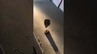 IMG 7457