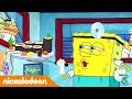 SpongeBob SquarePants | Dokter SquarePants | Nickelodeon Nederlands