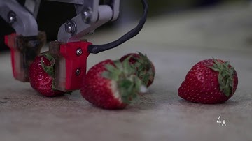 Strawberry manipulation using tactile sensing