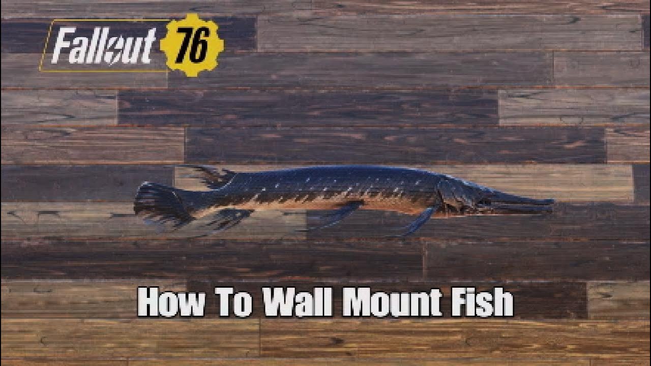 Fallout 76 [How To Wall Mount Fish] - YouTube