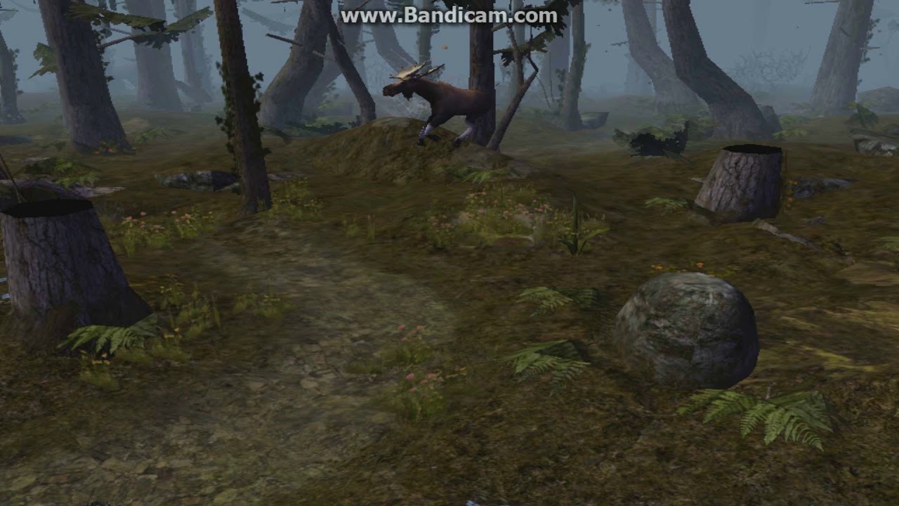 nwmain 2017 08 25 22 45 25 306