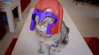 XMen: Magneto Cat