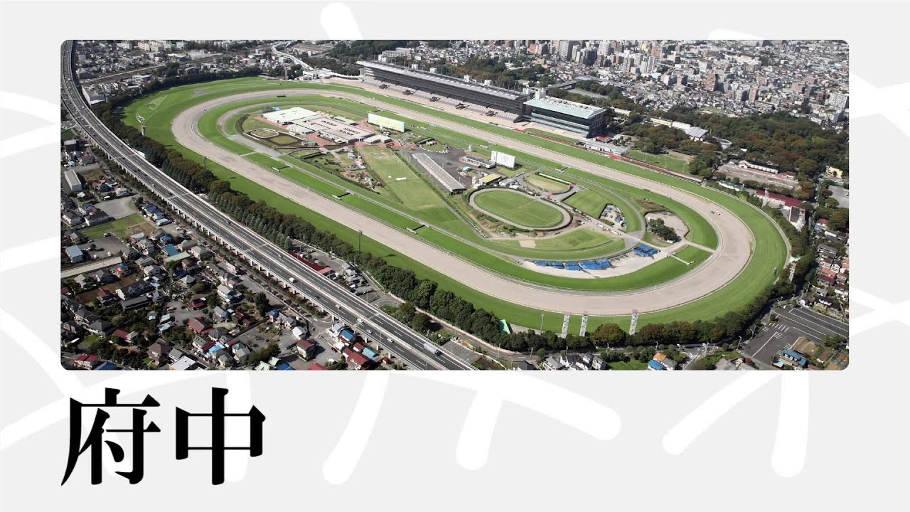 [Dell Graphic Pro JIMOT クリエイターズ部門] 東京