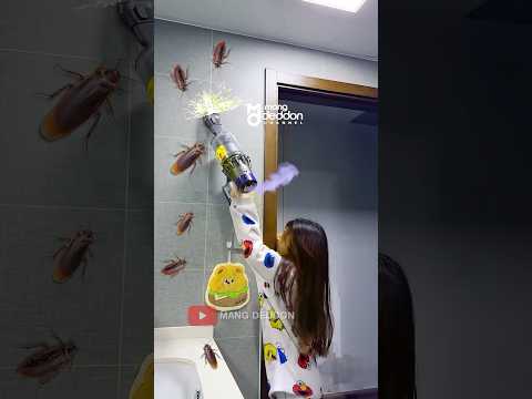 Effective Way To Exterminate Cockroaches Drama Tips