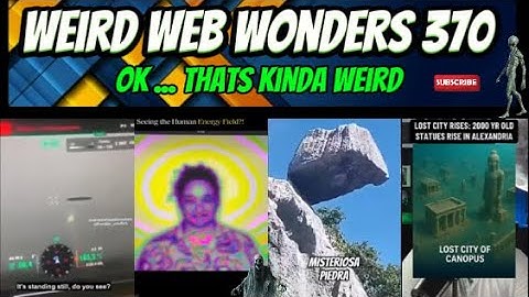 weird web wonders 370