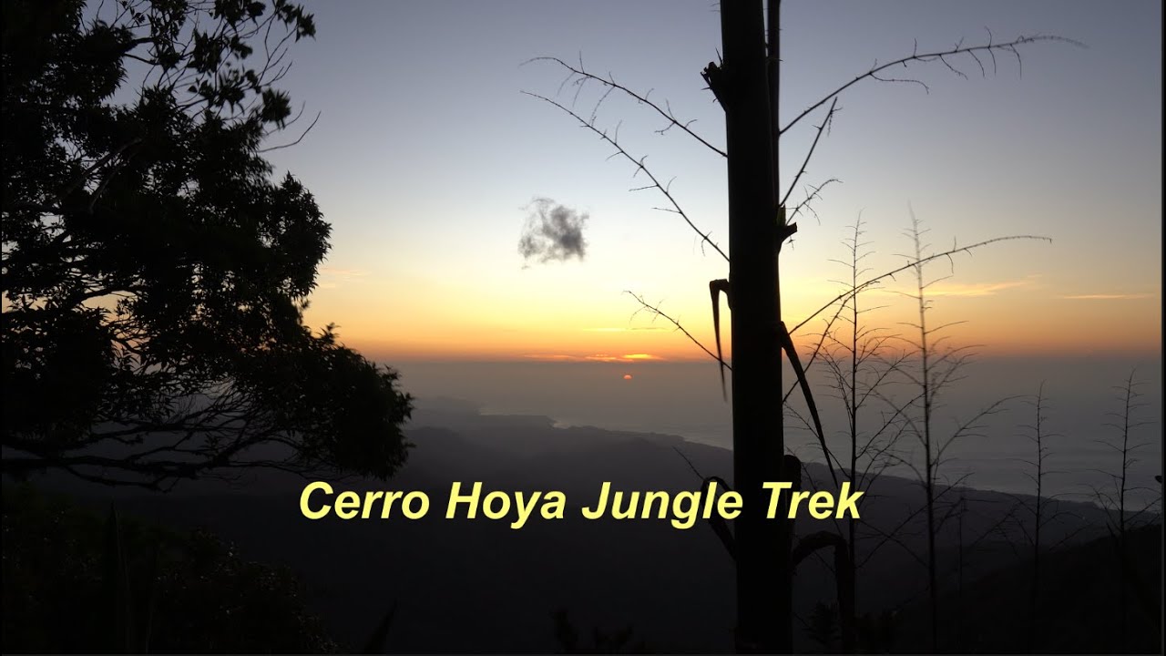 Trekking into Cerro Hoya, Panama's undiscovered national park with Azuero Adventures!