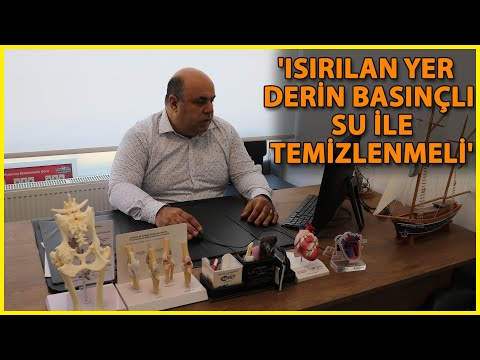 'Son 1 Yılda 250 Bin Kişi Kuduz Tedavisi Gördü'