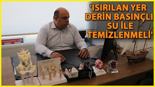 Son 1 Yılda 250 Bin Kişi Kuduz Tedavisi Gördü