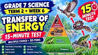 GRADE 7 SCIENCE | TERM 2 WEEK 6:TRANSFER OF ENERGY | 30-ITEM MULTIPLE-CHOICE TEST WITH ANSWER KEY News