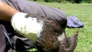 DSCF9672.AVI