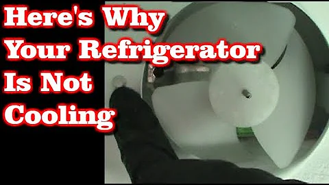 Refrigerator Not Cooling But Freezer Is Fine