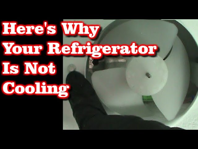 Refrigerator Not Cooling But Freezer Is, Freezer Warm Fridge Cold