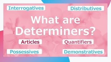 English Grammar - What are  Determiners - Possessive Interrogative Article Quantifier Demonstrative