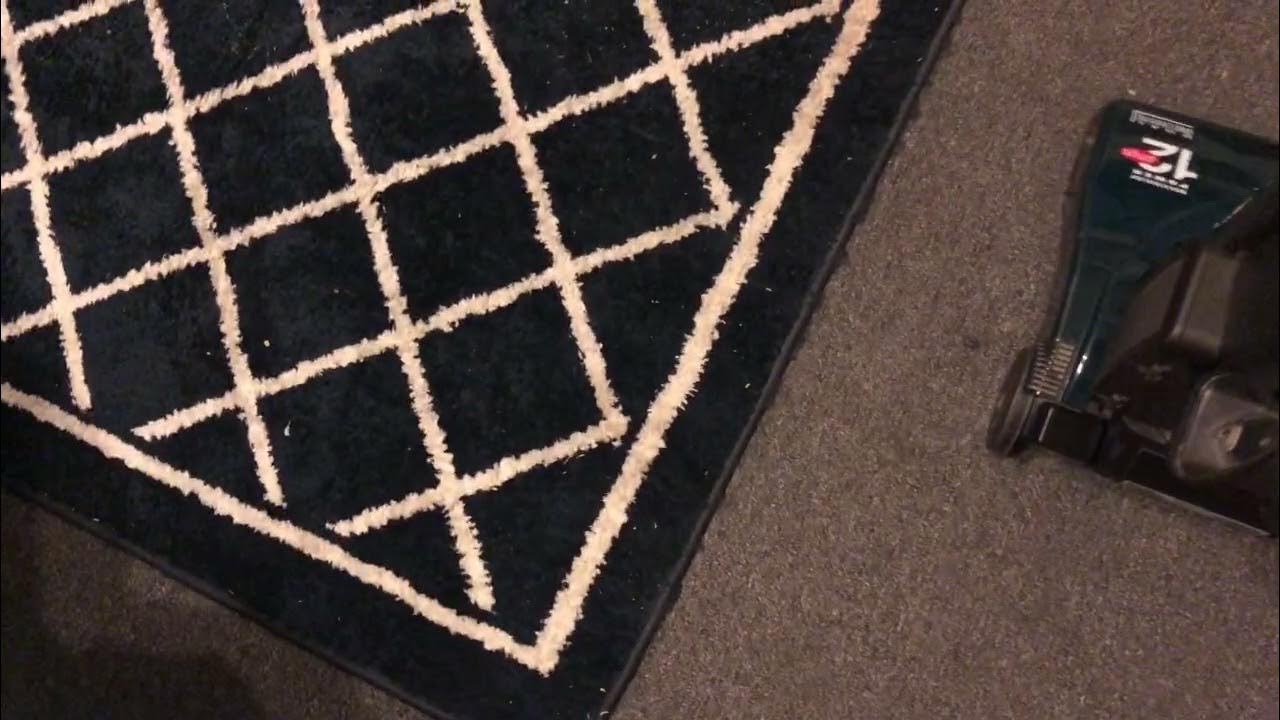 2 vac natural dirt Bissell cleanview 2 and black and decker air swivel