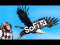 SoFi Soaring to Form Bull Flag or Retrace