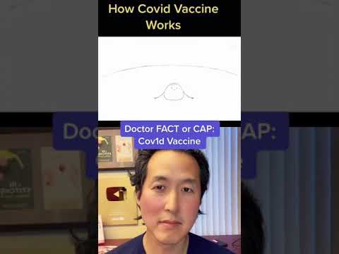 FACT or CAP: Covid Vaccine