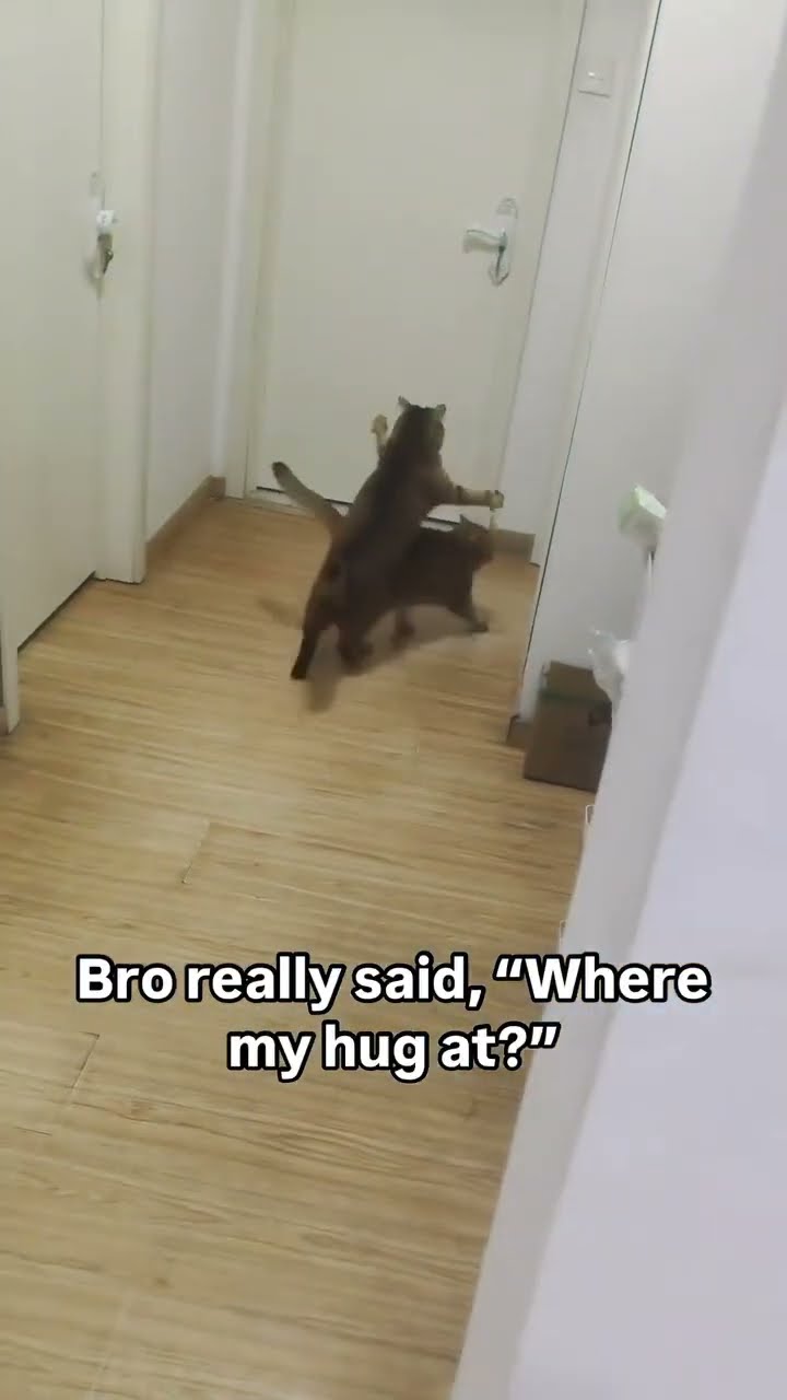 Bro starting the day he said some where my hug twin