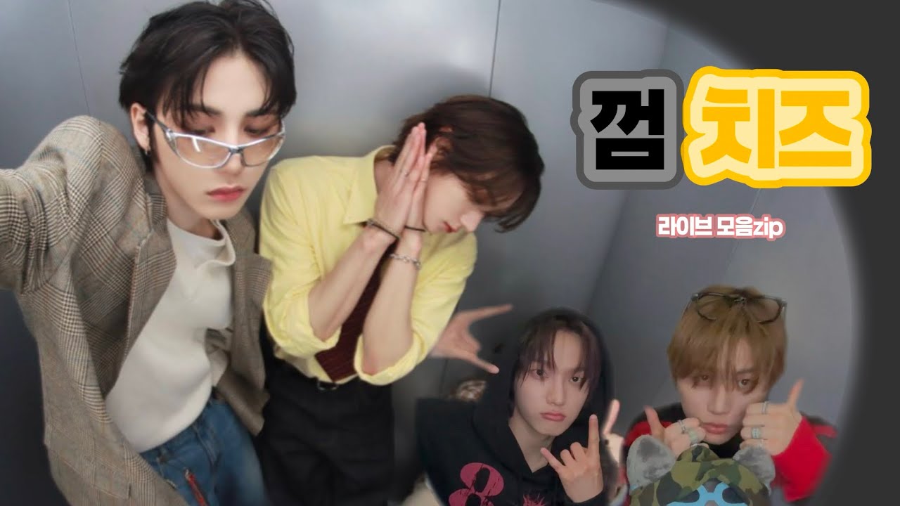 껌치즈 라이브 모음집