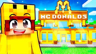 1€ VS €1.000.000 MCDONALDS Bouw Challenge! (Minecraft)