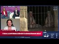 Visita papal a la Argentina: el Vaticano envió una misión de avanzada