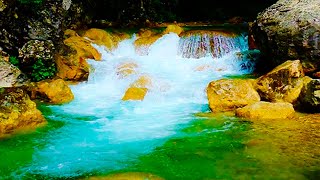 4k Calming Mountain Turquoise River Sounds. Carpathian Forest Turquoise River Sounds for Sleeping