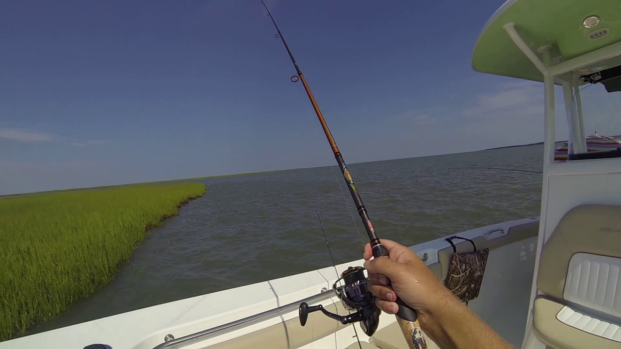 August 3rd and 4th 2017 Wachapreague, Virginia Flounder Fishing YouTube