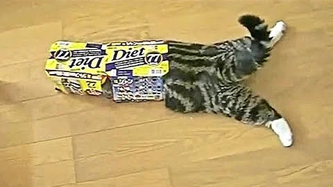 MAN AND BEAST - Part 31