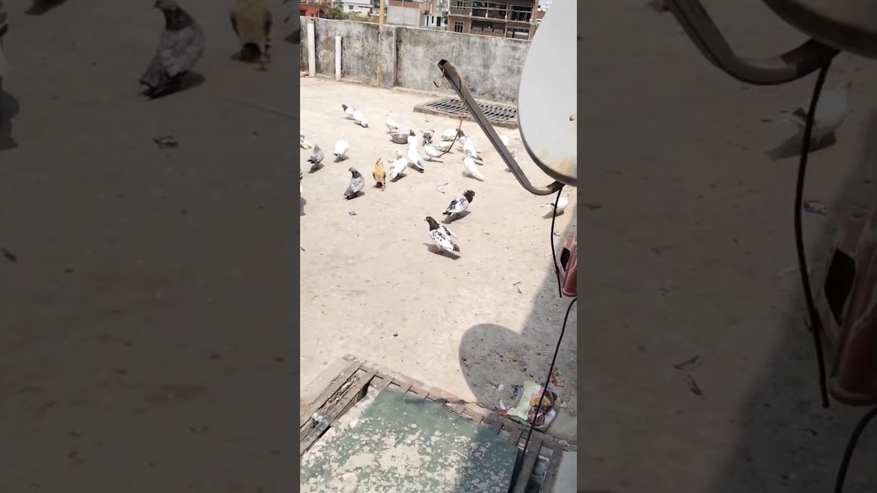 80/1लाख तक। 