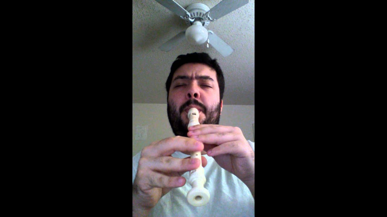 Nightwish - Deep Silent Complete flute cover (recorder) na flauta doce