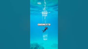 Cartesian Diver Experiment