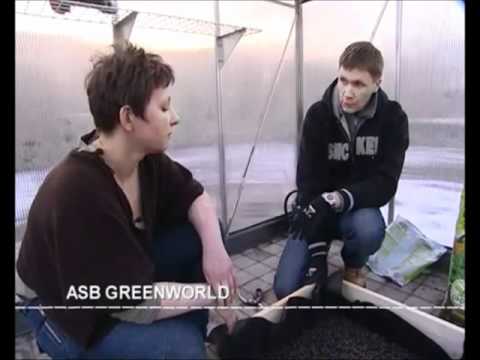 Video: Milleks Kurke Kasvuhoones Vormida