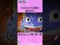 ゼウスとナミの間で結ばれた宝石のように輝く固い絆 #onepiece #ワンピース #アニメ #雑学