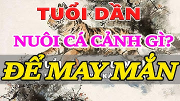 Người Tuổi Dần nên nuôi cá cảnh gì để hút tài lộc may mắn cho gia chủ - Bể cá phong thủy, Vị trí