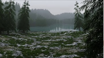 Creating 3d nature foggy forest scene using | cinema4d and coronarenderer |