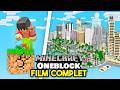 Jai survcu 1000 jours sur 1 seul bloc minecraft film complet