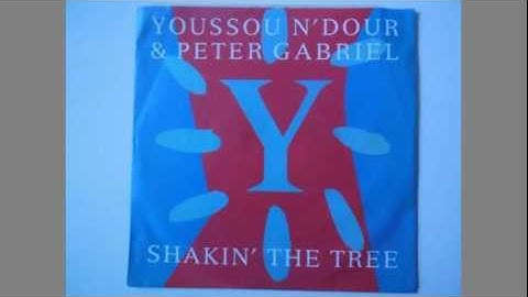 Youssou N
