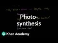 The Essential Role of Photosynthesis in Life and Ecosystems