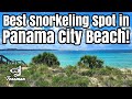 Best Snorkeling Spot in Panama City Beach!
