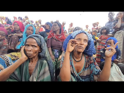 ቪዲዮ: የመያዣ ጎመን - ጎመንን በመያዣዎች ውስጥ እንዴት እንደሚያሳድጉ