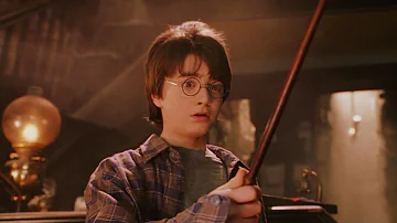 What are the 12 Harry Potter movies?