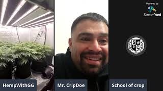 420 . WAKE AND BAKE LIVE CHAT