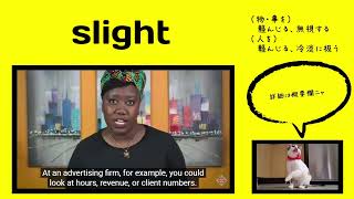 英検1級過去問700単語 Slight