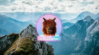 Idealism - illusions - LofiHipHop Music ChillHop Chillout Chill Music for Studying & Relax🦙 🎧