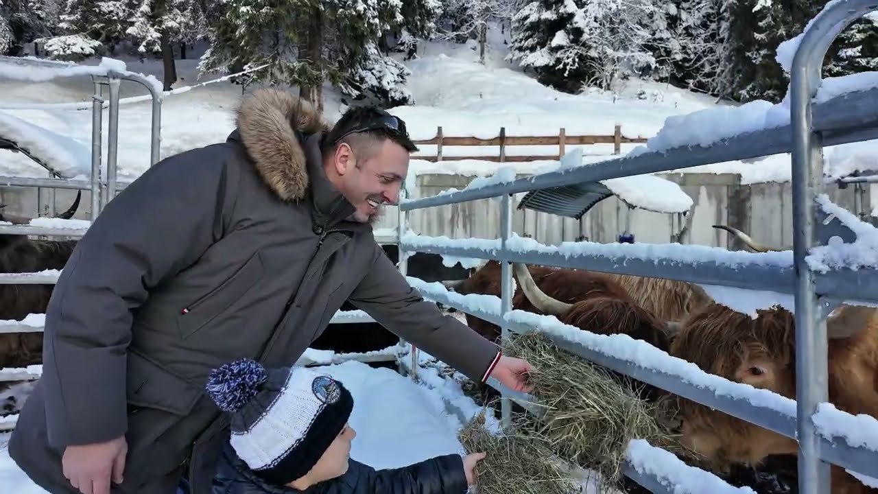 Cutest Baby Cows You’ll See Today 🐮😍