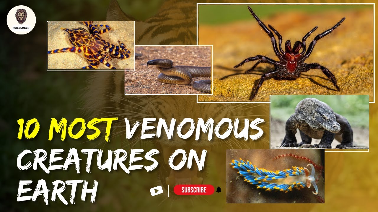 "Venom Unveiled: Earth's Top 10 Most Lethal Creatures" - YouTube