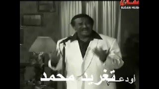 سيد خليفة  اودع اودع كيف تغريد محمد