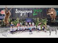 Xin Yan e-Bridge PerSchool Trip - Singapore ZOO