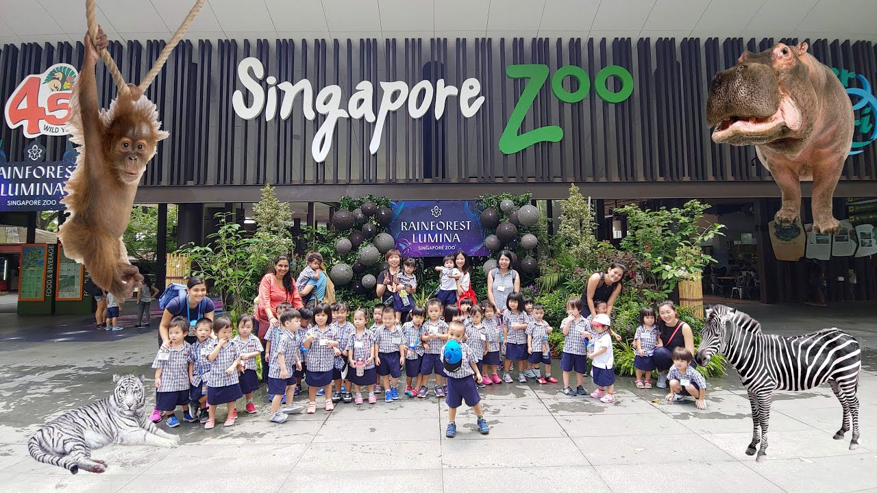 Xin Yan e-Bridge PerSchool Trip - Singapore ZOO