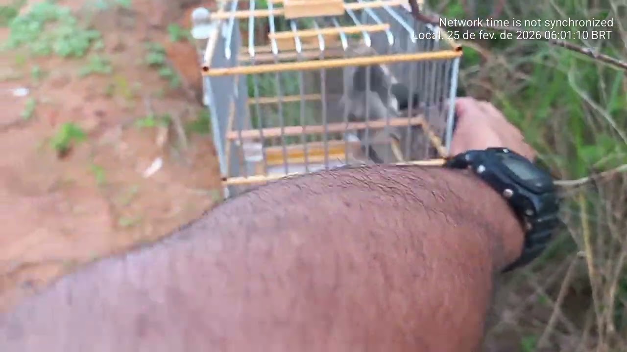 25 de fevereiro de 2026