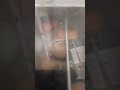 2022 4th grade chicks